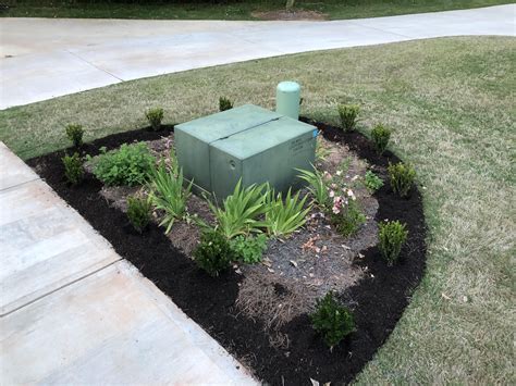 garden around electrical box|planting around utility box.